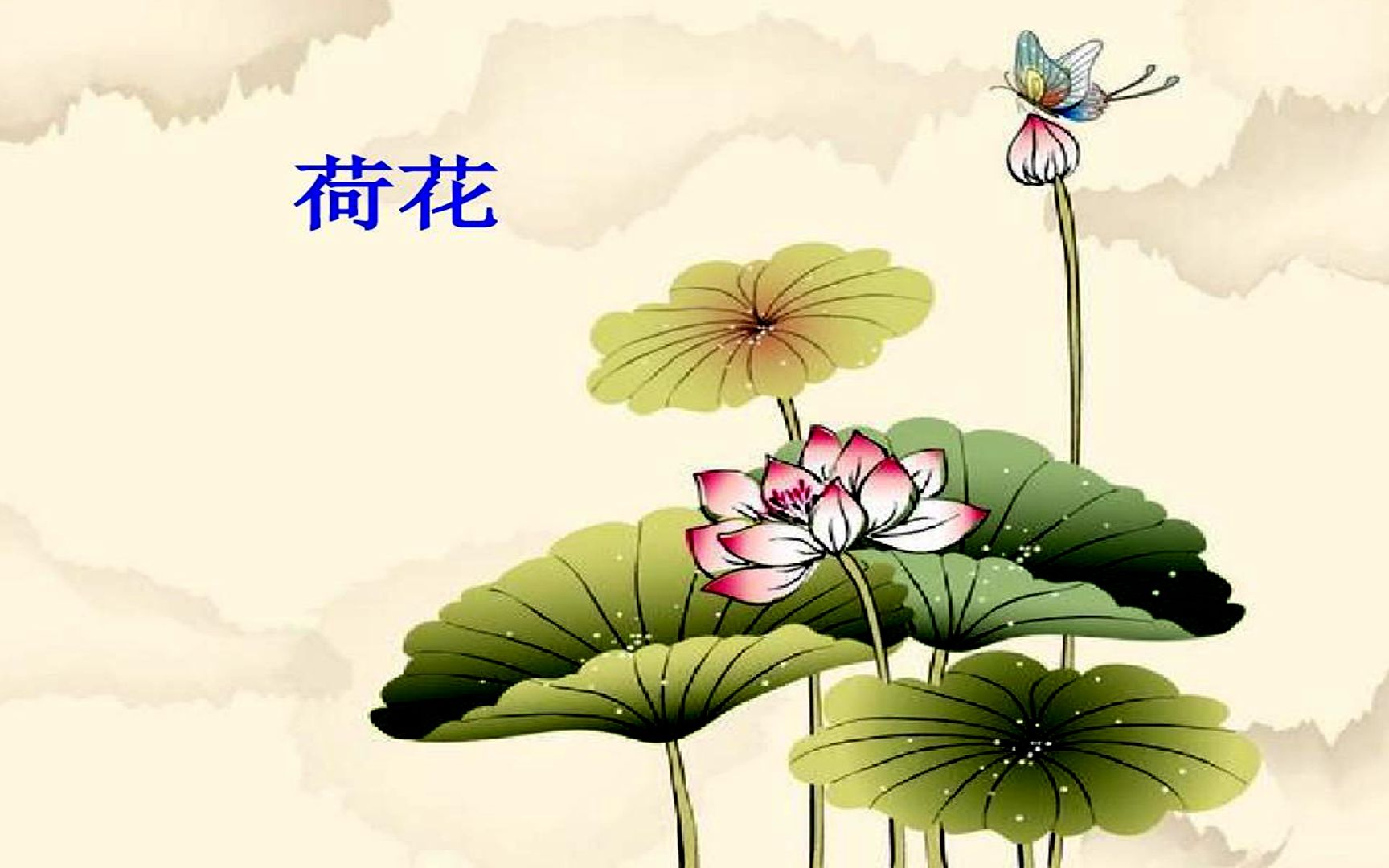 寒假早预习:三年级语文3《荷花》知识点教学哔哩哔哩bilibili