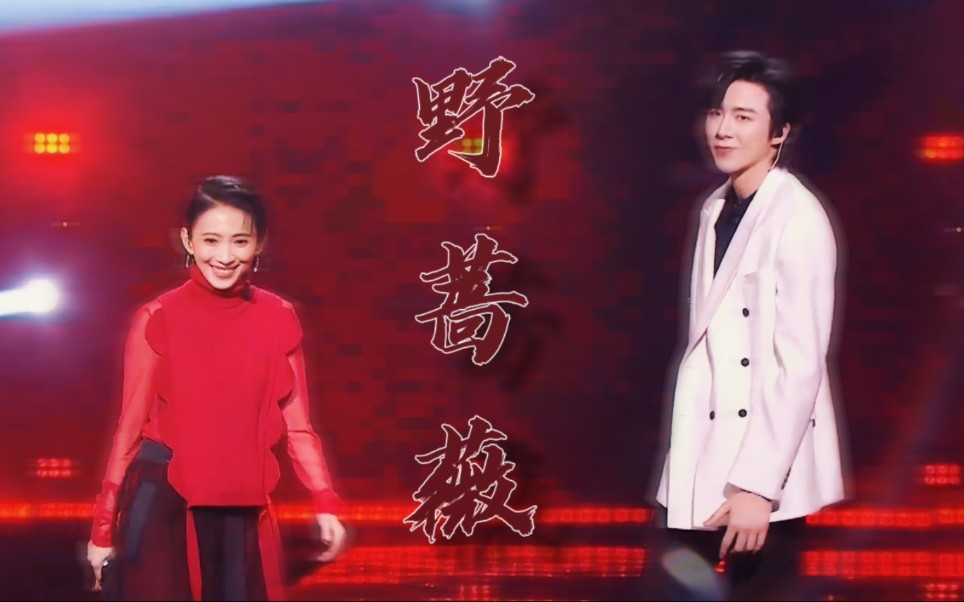 戴佩妮刘宇宁合唱野蔷薇她站在他的影子里1080p