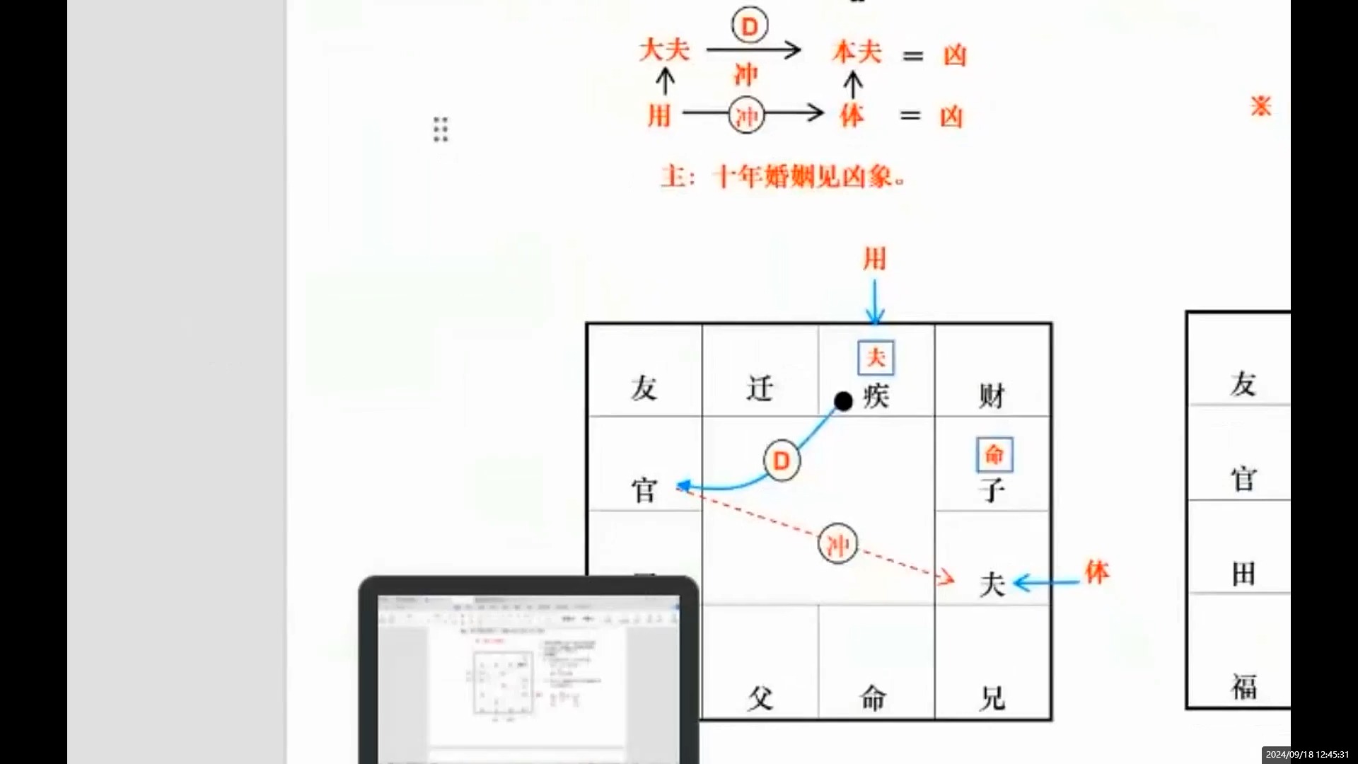 紫薇新品种灵梦图片