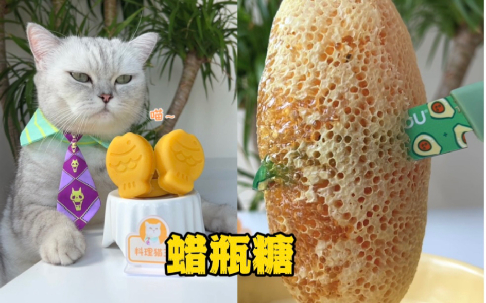 [图]猫王：用土蜂巢制作蜡瓶糖！