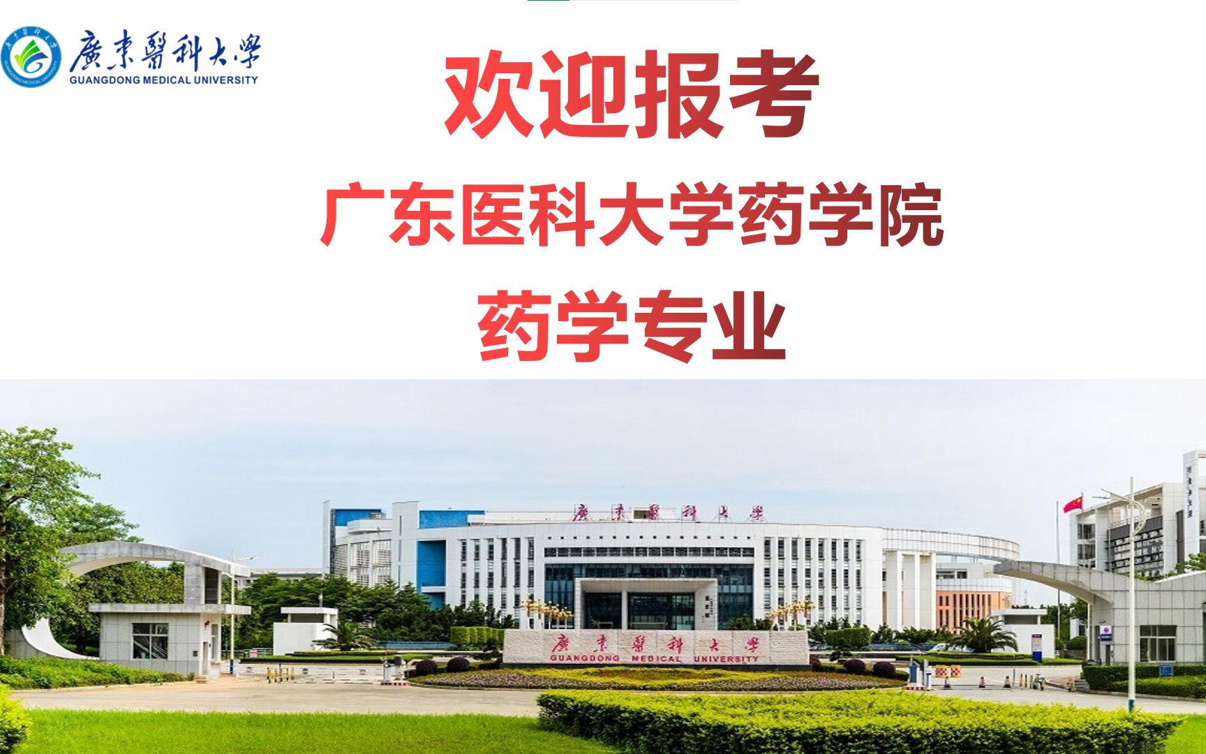 广东医科大学 药学院 药学专业解读哔哩哔哩bilibili