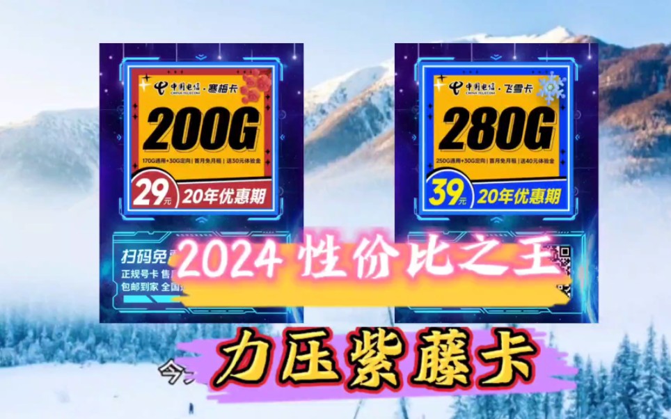 2024流量卡性价比之王寒梅卡!29包200G流量!力压紫藤卡!哔哩哔哩bilibili