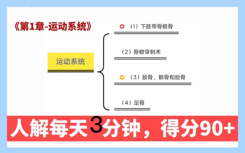 [图]《系统解剖专升本核心知识点背诵》【专升本系统解剖背诵运动四肢骨的分类，肩胛骨锁骨打卡】专升本系统解剖大学期末考试核心知识点每天背诵3分钟轻松拿高分专升本系统解剖