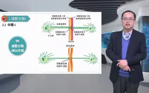 Download Video: 13.2细胞分裂（二）：减数分裂_细胞生物学_李军林