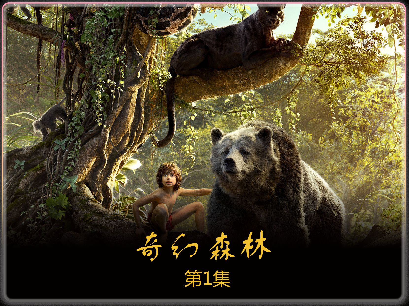 奇幻森林 一个被狼养大的孩子,在森林里被老虎追杀