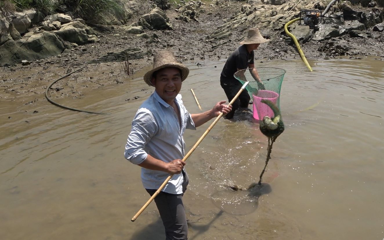 两小伙用3台抽水机抽池塘水干时鱼多得沸腾乱窜抓鱼真过瘾啊