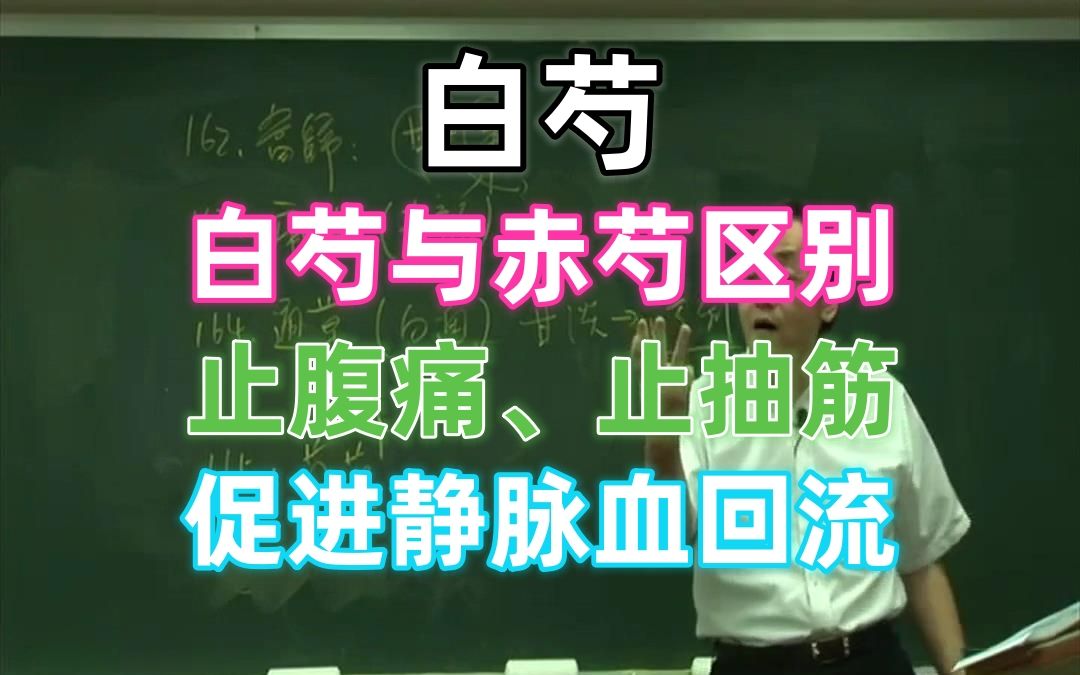 倪海厦 白芍 促进静脉血回流 止痛 止抽筋 经方家常用药物哔哩哔哩bilibili