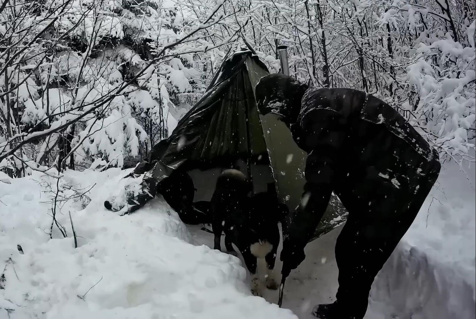 3天深雪单人生存露营冬季风暴丛林热帐篷营地炉灶烹饪(第111弹)哔哩哔哩bilibili