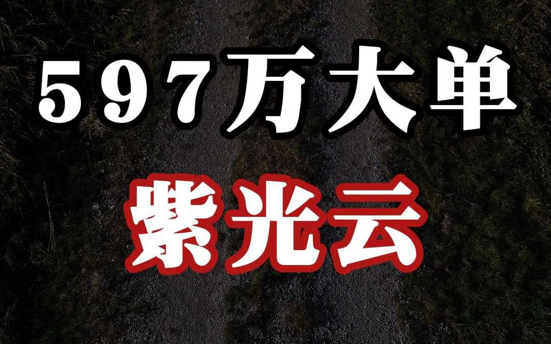 597 万大单:紫光云(中)哔哩哔哩bilibili