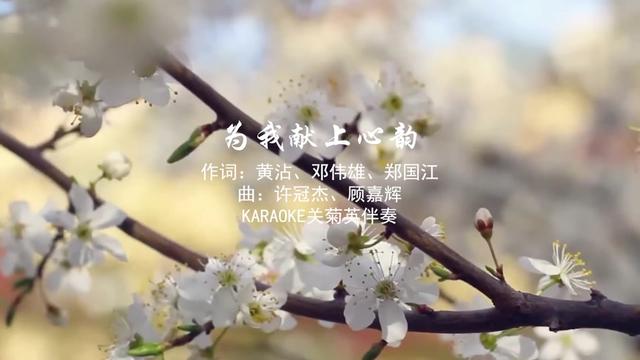 [图]为我献上心韵伴奏 关菊英contoese Karaoke