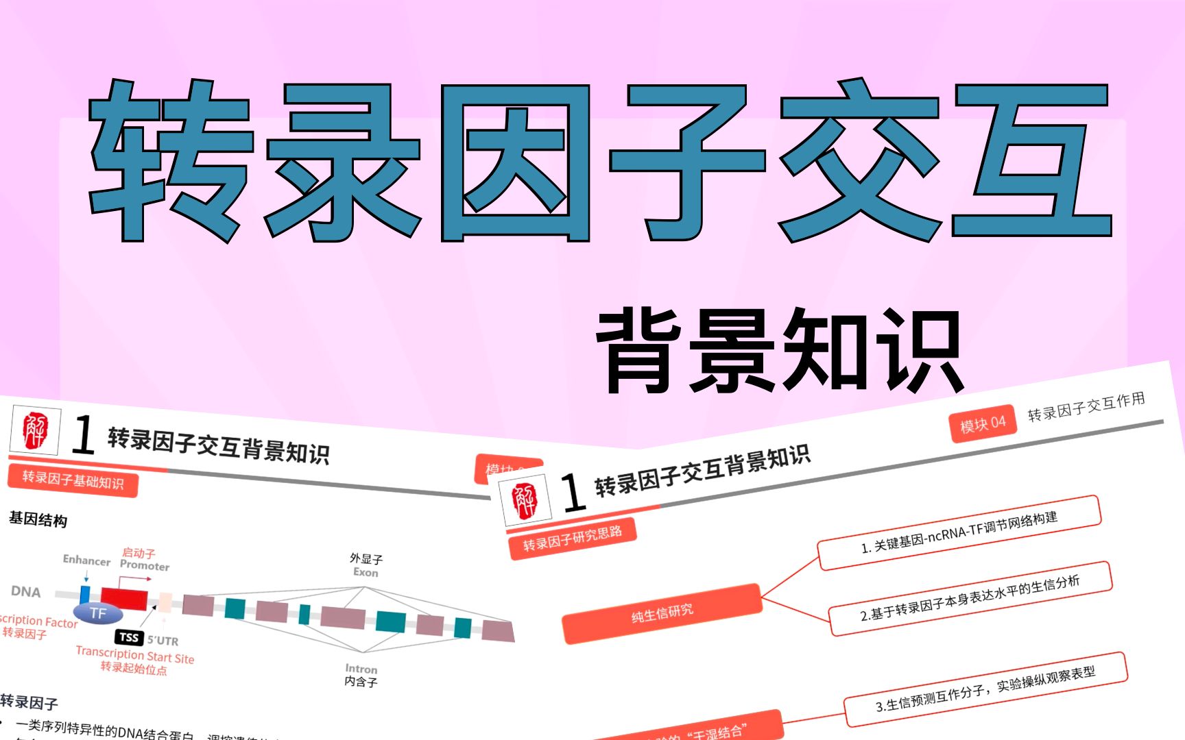 【生信学习】基础知识讲解:什么是转录因子,作用机制、应用场景,生信怎么做?哔哩哔哩bilibili