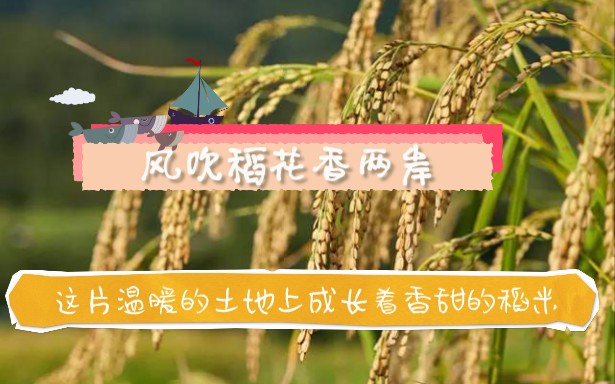 [图]《我的祖国》风吹稻花香两岸