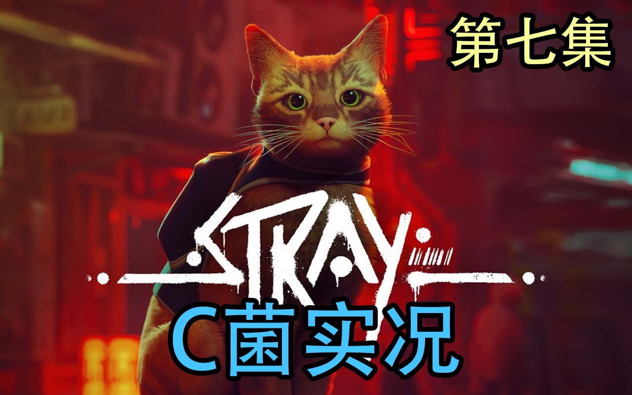 C菌《Stray》赛博朋克流浪猫 第七集单机游戏热门视频