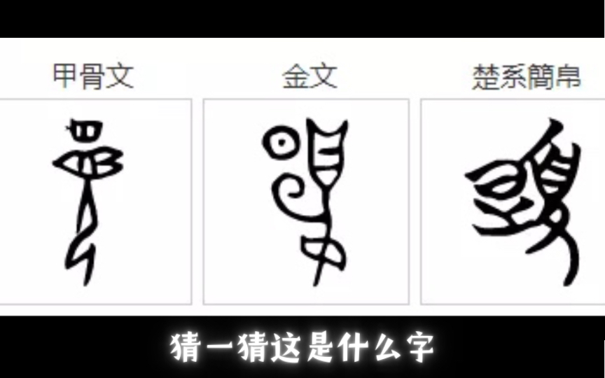 【甲骨文,金文至现代汉字演变系列】其一哔哩哔哩bilibili