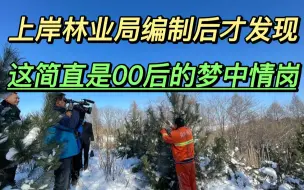 Download Video: 上岸林业局编制后才发现，这简直就是00后的梦中情岗，无加班、无早八、很清闲...