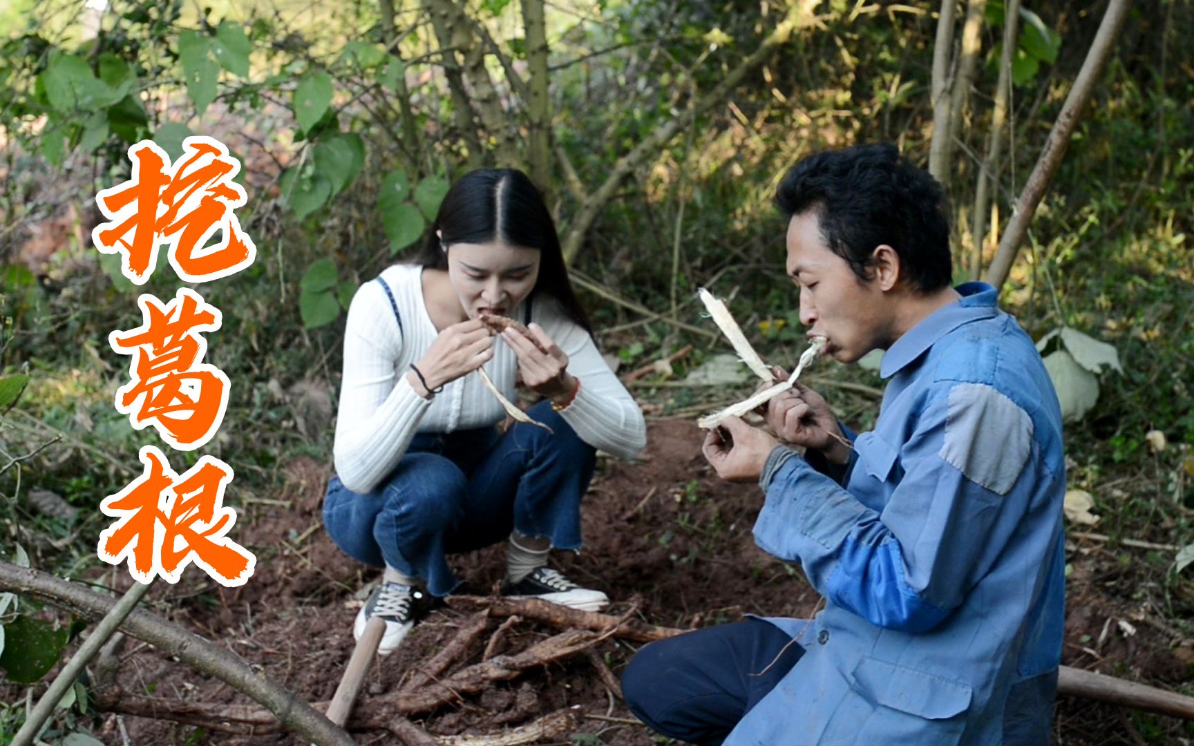 管子哥在花椒树下找到野葛根,被花椒刺扎到哇哇乱叫哔哩哔哩bilibili