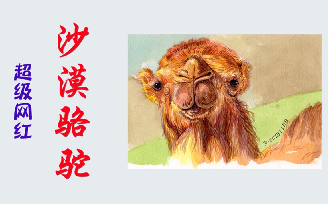 活动作品水彩超级网红沙漠骆驼水彩绘画过程