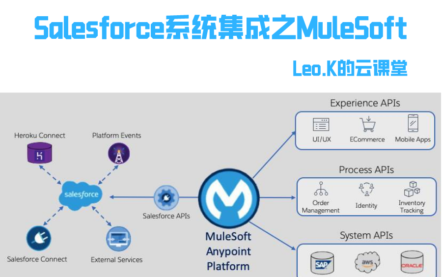 Saleforce系统集成之MuleSoft详解哔哩哔哩bilibili