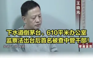 下载视频: 贵州省原副省长为销赃，往下水道倒茅台倒不尽