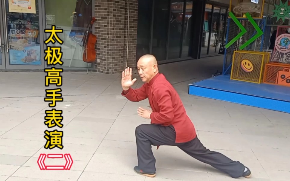 太极拳高手表演太极拳 《二》哔哩哔哩bilibili