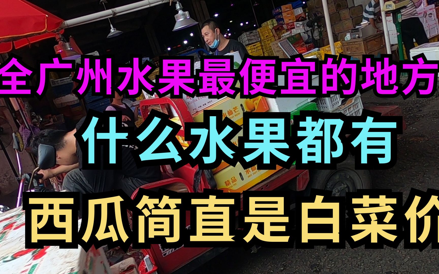 这里是广州批发水果最便宜的地方,啥水果都有,西瓜简直是白菜价哔哩哔哩bilibili