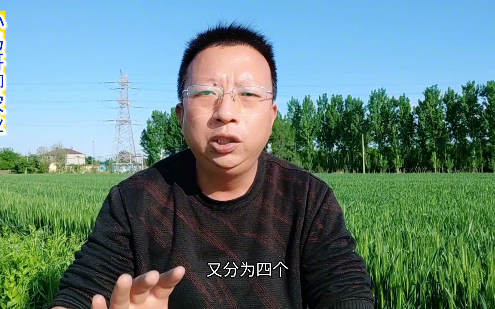 到底什么是小麦灌浆期?灌浆期管理是为了什么?具体该怎么做?哔哩哔哩bilibili