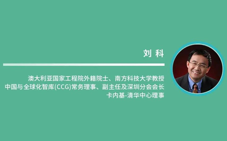 清华碳中和论坛南方科技大学教授刘科碳中和的误区与出路