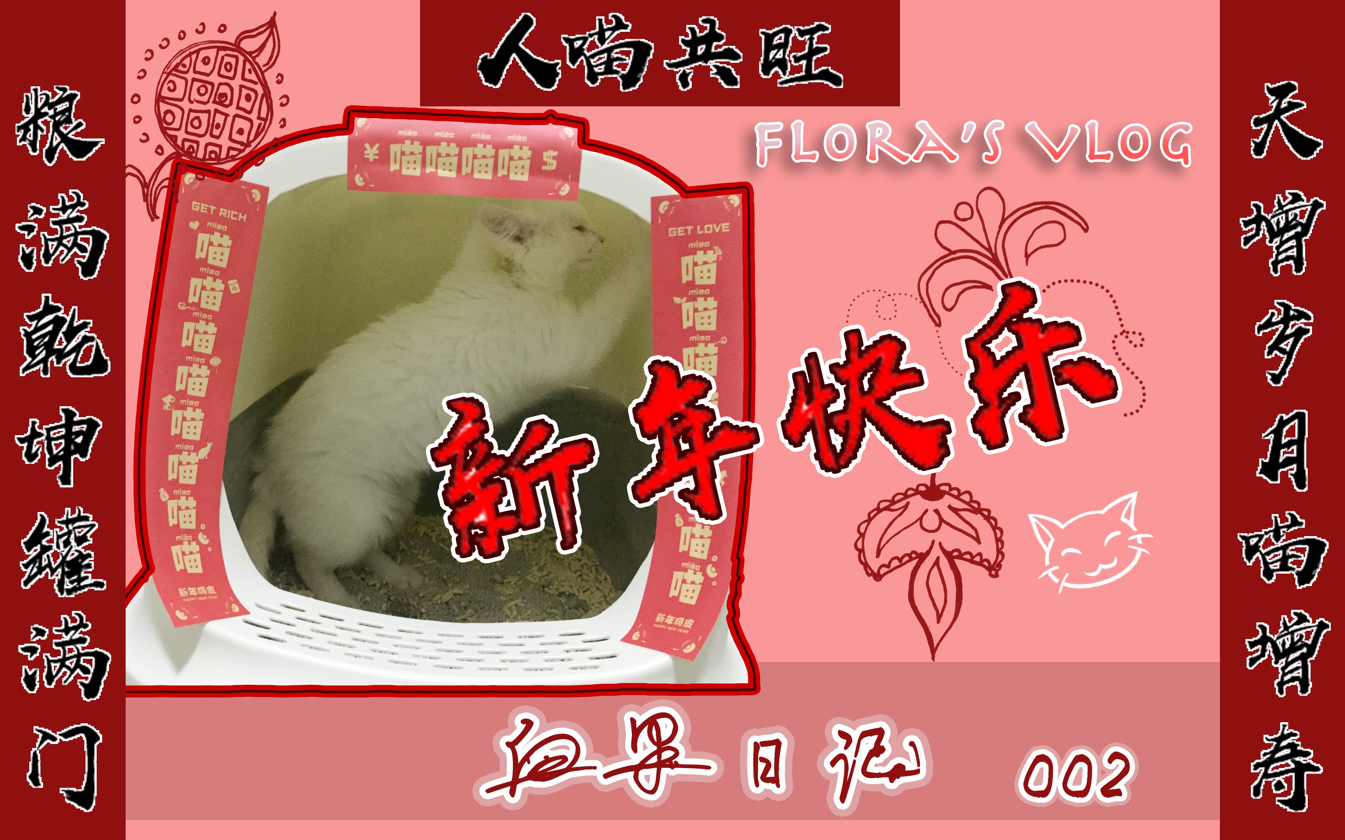 「白果日记002」新年快乐!|白白胖胖我们果|到家十天终于养胖啦