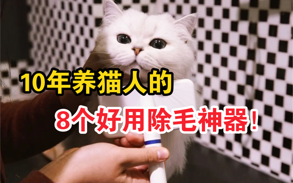 养猫必看！多猫家庭的8个好用除毛神器！ 哔哩哔哩 9169