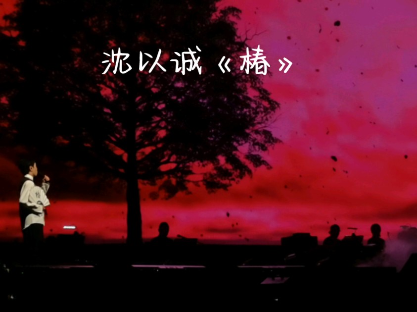 多少人第一次听沈以诚的歌是《椿》