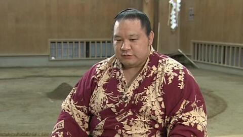 琴欧洲断发式cut 哔哩哔哩 Bilibili