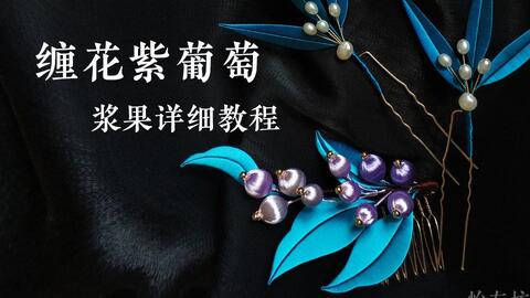 缠花葡萄浆果教程 夏天都来了 确定不整碗葡萄杨梅枇杷啥的么 哔哩哔哩