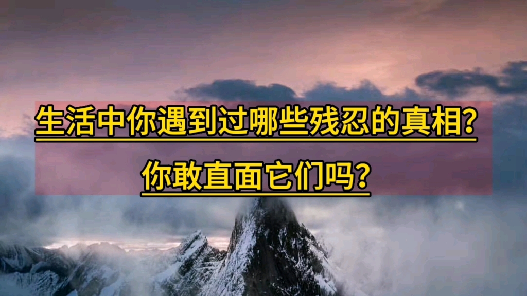 生活中你遇到过哪些残忍的真相?你敢直面它们吗?哔哩哔哩bilibili