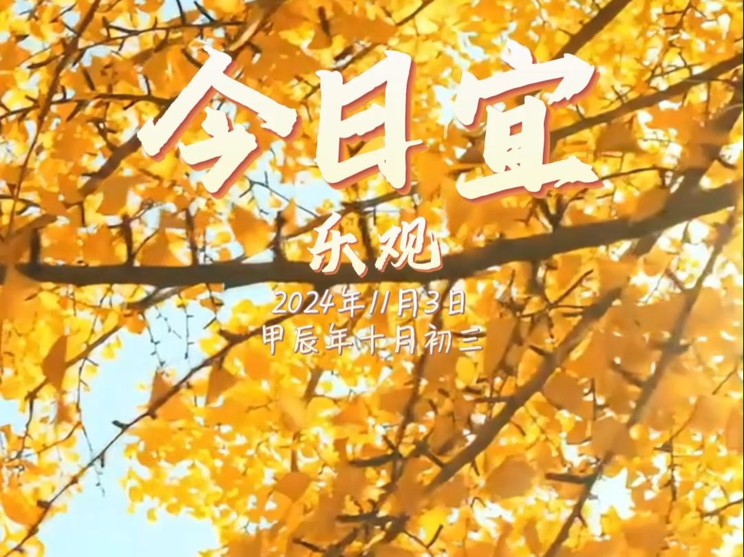 早安,今天是11月3日.今日宜乐观❤保持积极心态,笑对人生吧,所有的付出都有意义!哔哩哔哩bilibili