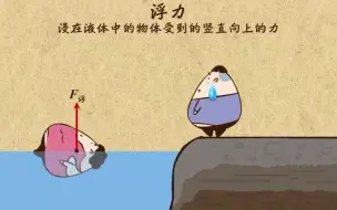 下载视频: 什么是浮力