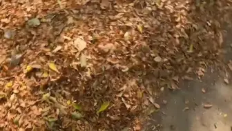 高跟鞋日常生活