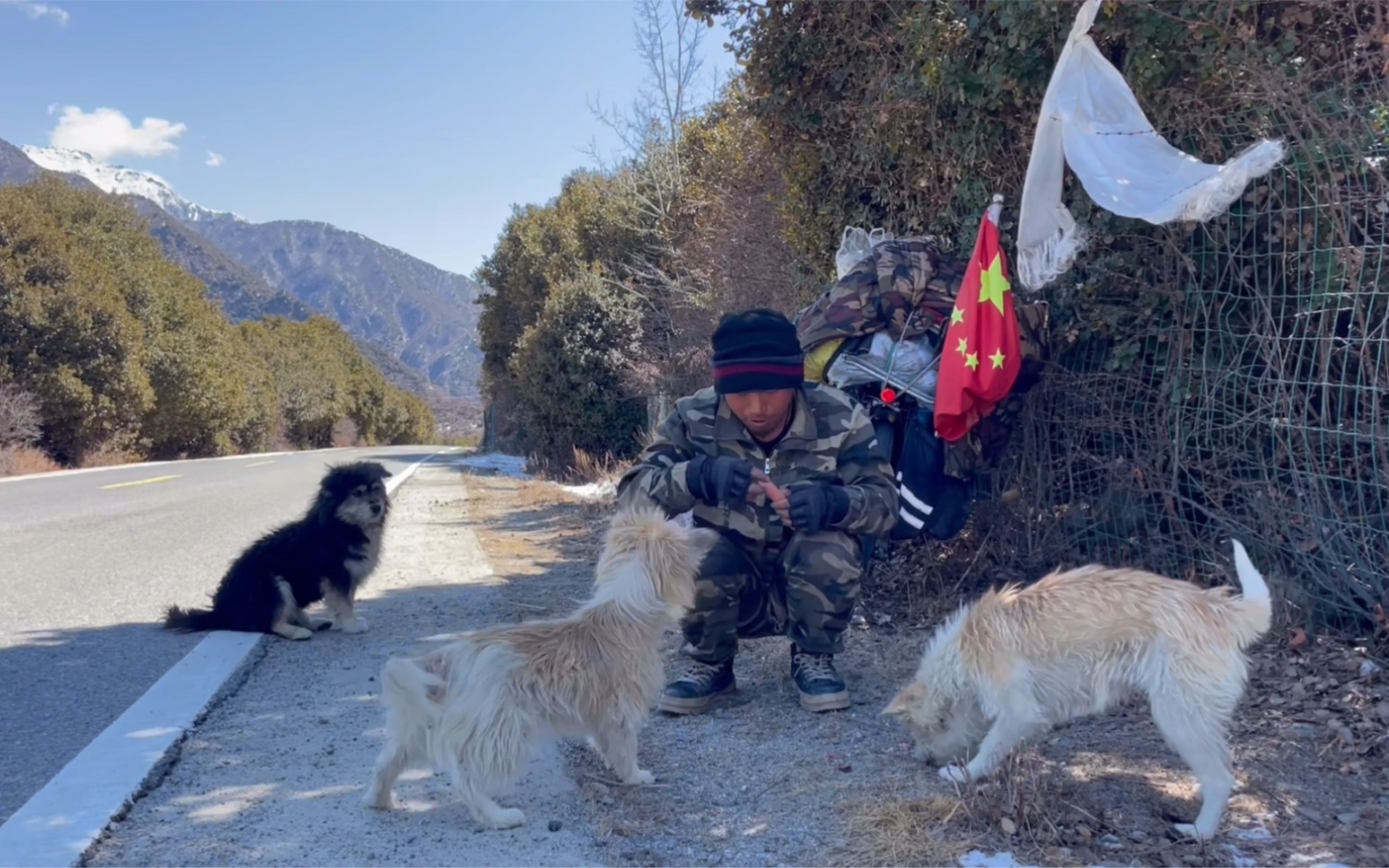 流浪西藏,在路上撿到一隻流浪狗,晚上一人一狗在廢棄板房內大口吃豬肉