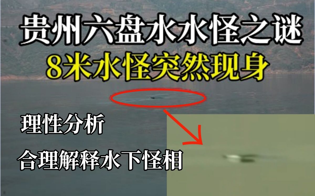 蓄水不到一年的人工水库惊现8米巨物,贵州六盘水水怪之谜哔哩哔哩bilibili