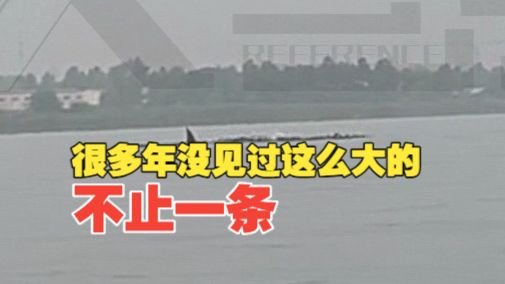 商业航天观察日报｜阵痛与进击