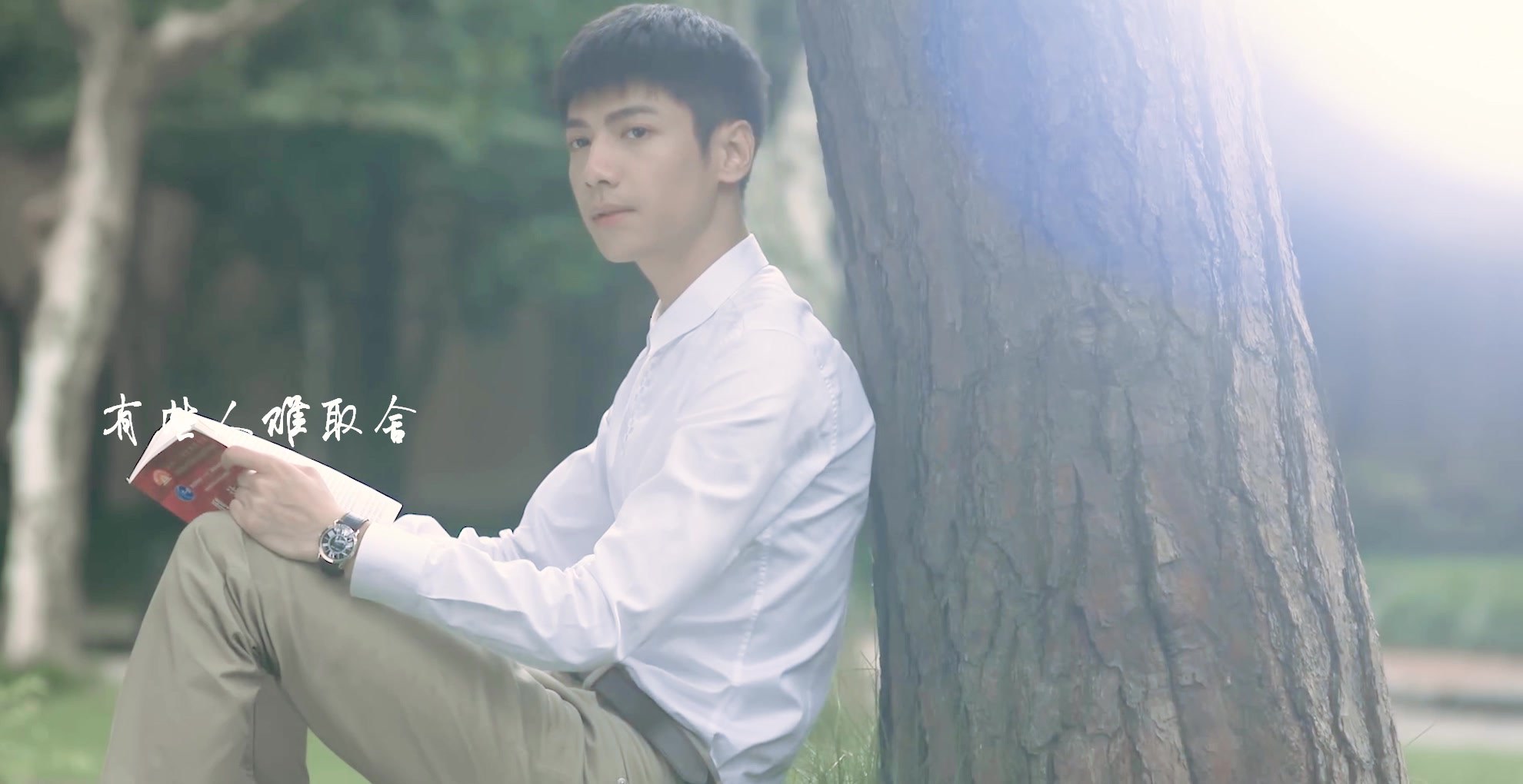 罗云熙李沁夏如画x何以琛我的爱可能是夏未央