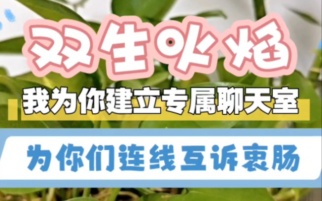 【双生火焰】我为你建立专属聊天室(神男们称我为:连线人、见证人、使者、传声机……)我是宇宙和事佬,为你们连线互诉衷肠,解开误会化解心结,...