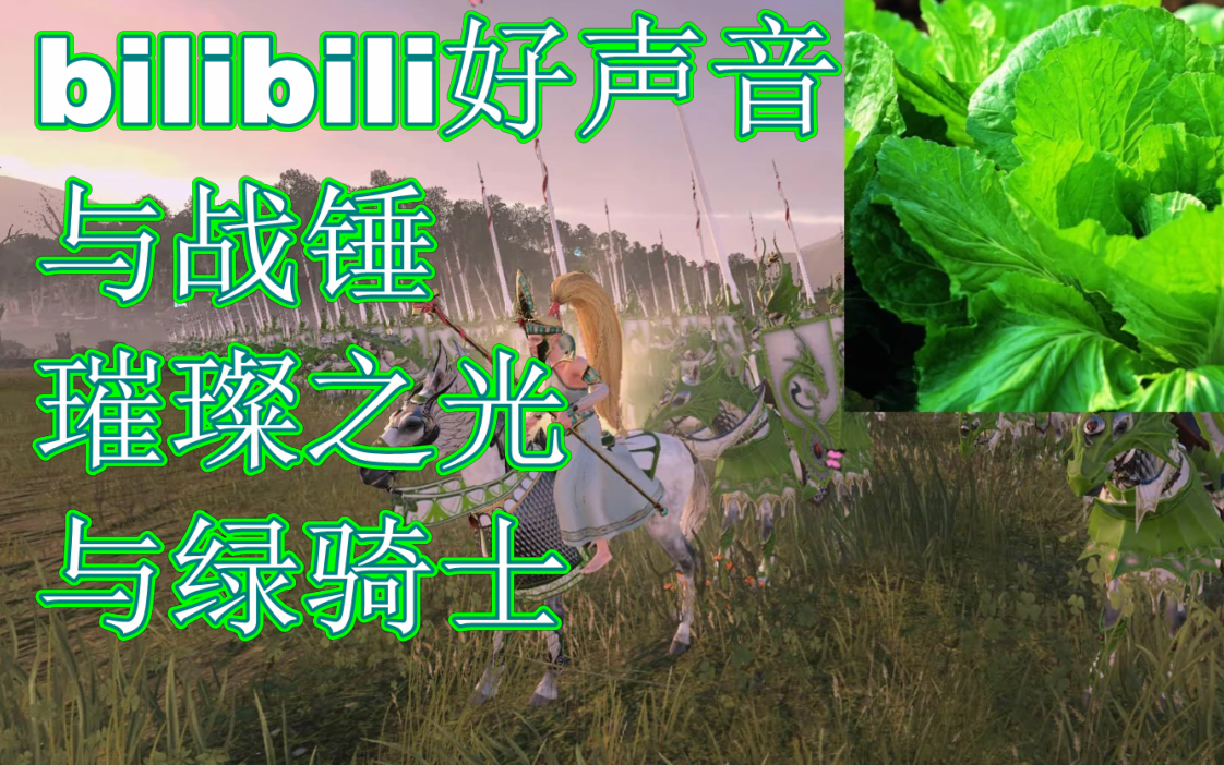 bilibili好声音与战锤原谅绿骑士与璀璨之光