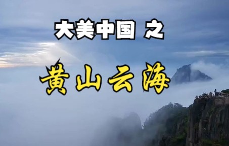 大美中国之黄山云海哔哩哔哩bilibili