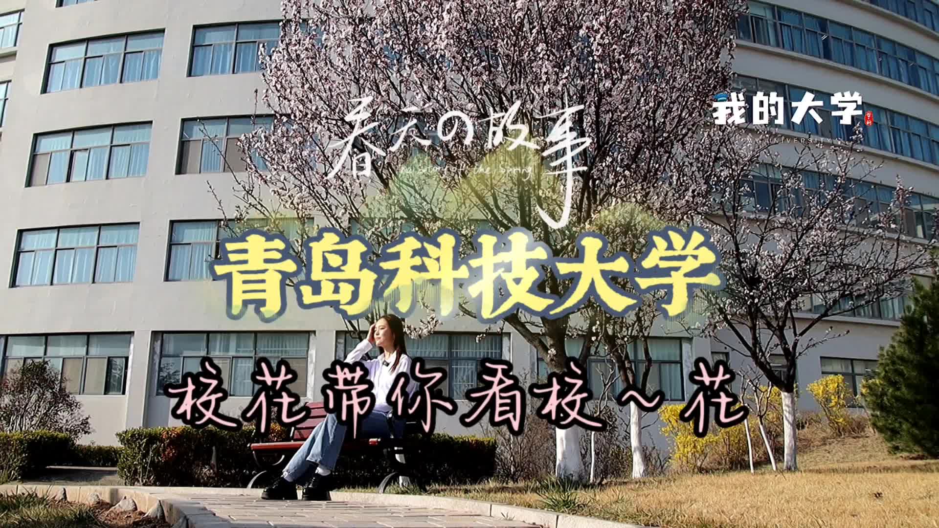 【青岛广电ⷦˆ‘的大学出品】“校花带你看校~花”进青岛科技大学哔哩哔哩bilibili