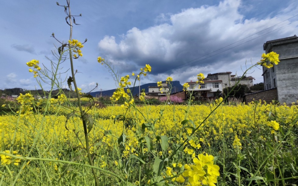 桃花山赏桃花,风景美如画哔哩哔哩bilibili