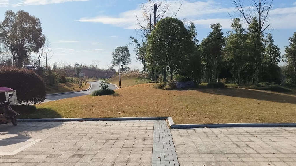 常德桃源六棵松休闲娱乐好地方