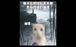 下载视频: 幽魂：“真的要搜我魂嘛，紫薇妹妹