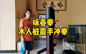 Download Video: 咏春拳木人桩教学之震手冲拳