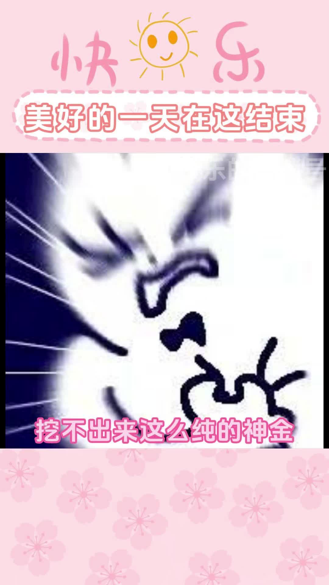 美好的一天从遇到神金结束