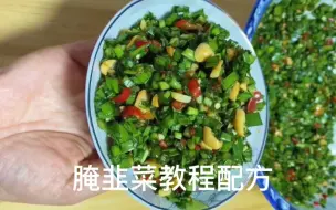 下载视频: 腌韭菜商业版教程